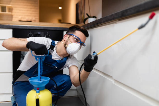 Best Wasp Removal Services  in Craig, AK