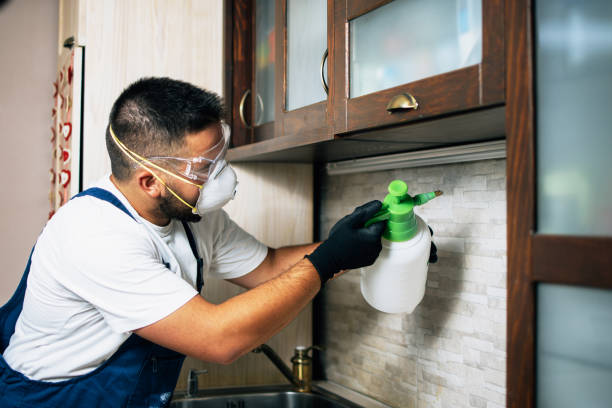 Best Affordable Pest Control Services  in Craig, AK