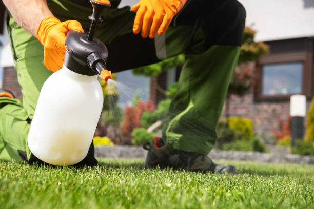 Wasp Removal Services in Craig, AK