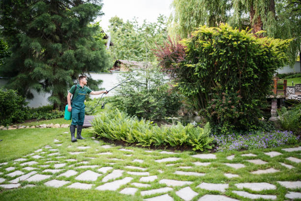 Best Emergency Pest Control  in Craig, AK
