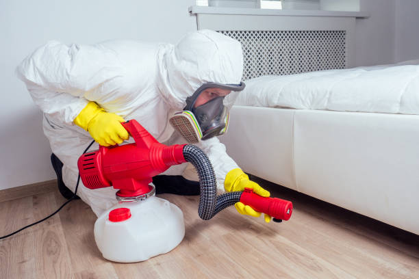 Best Best Pest Control Companies  in Craig, AK