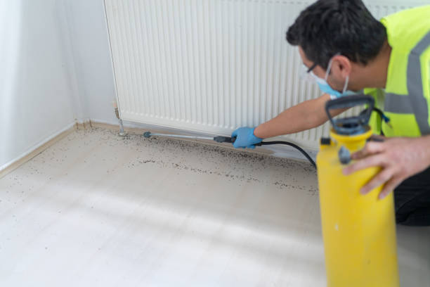 Best Flea Control Services  in Craig, AK