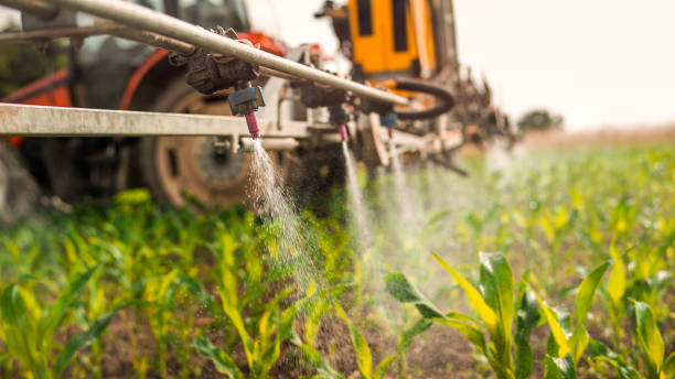 Best Commercial Pest Control Services  in Craig, AK